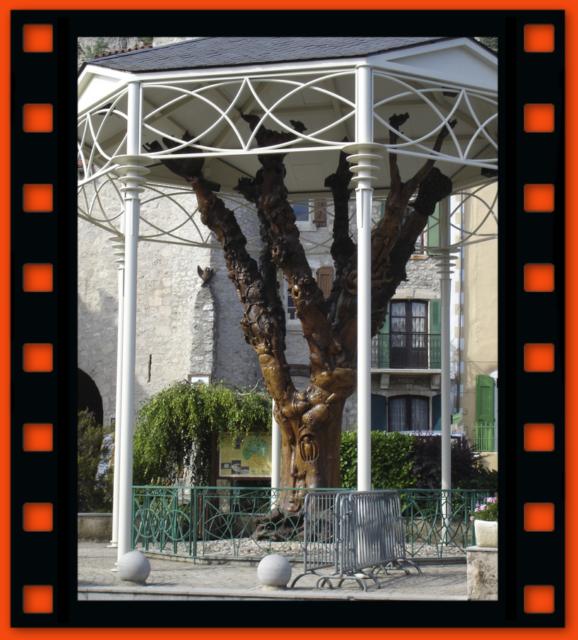 l'arbre sculpt du Caylar